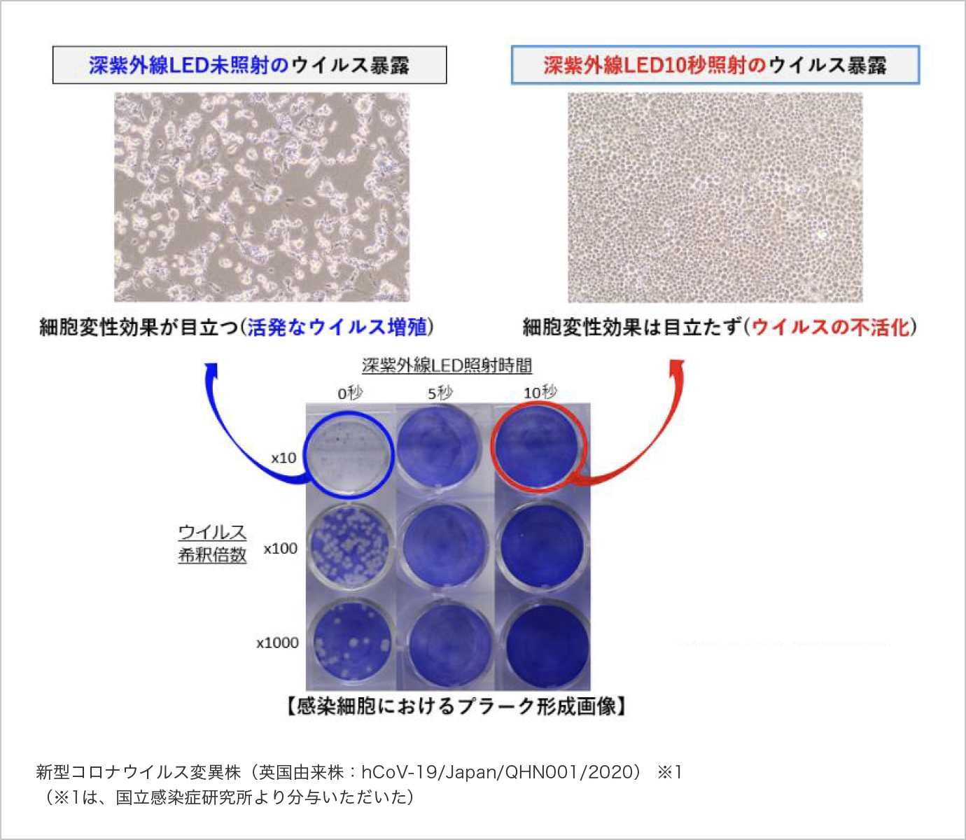 新型コロナウイルス変異株の不活化試験